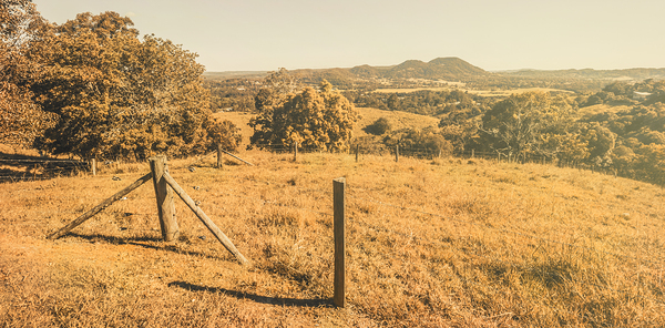 Farm fields of Eumundi Sunshine Coast Print