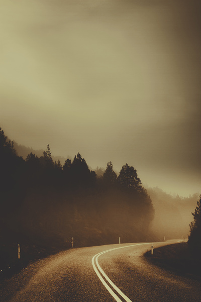 View of abandoned country road in foggy forest Print