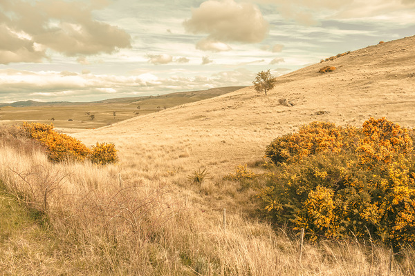 Meandering hills Print