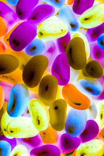 Jellybean X-Ray Print