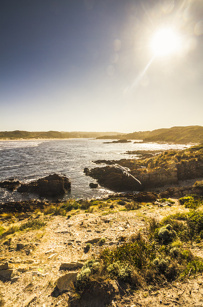 Arthur River Tasmania Print