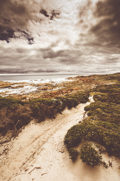 Pathways to seaside paradise Print