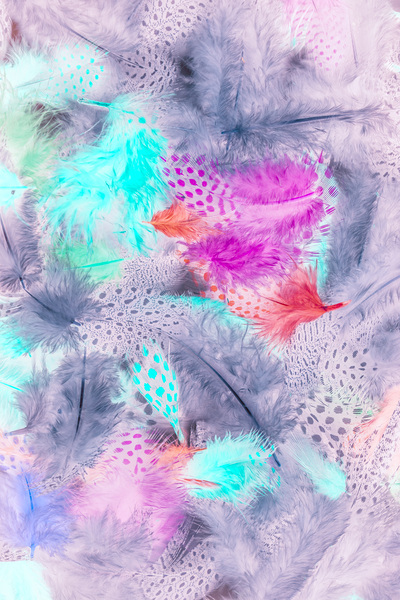 Pastel plumes Print