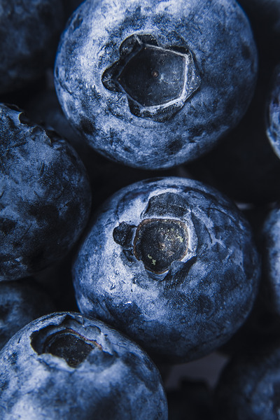 Blueberries in detail Print
