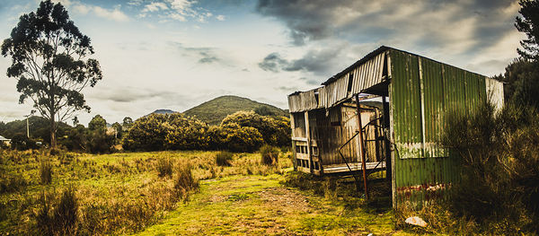 Rural abandoned shed in old rural countryside Print