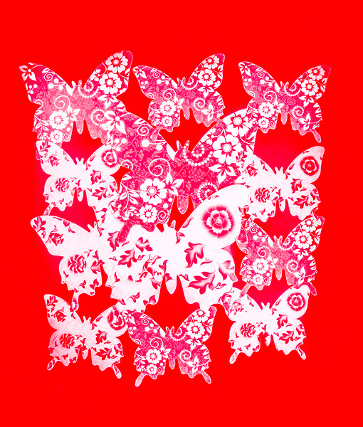 Exotic red wings Print