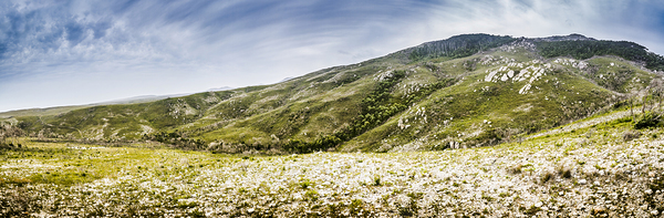 Mount Agnew landscape in Tasmania Print