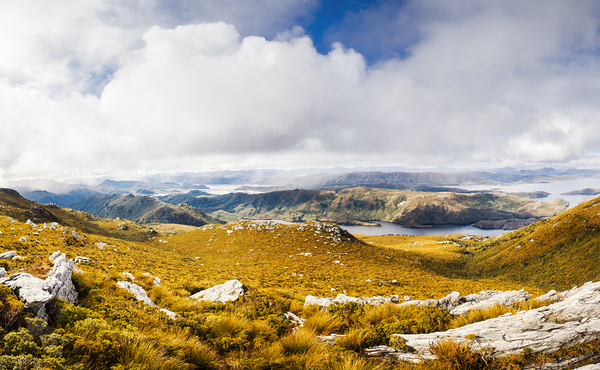 A range of colours Print