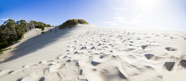 West Coast Tasmania desert panorama Print