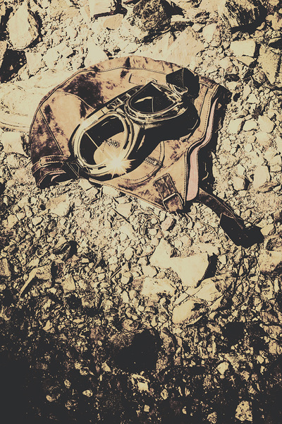 Pioneering aviation and travel Print