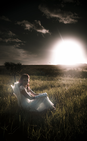 Field Of Dreams Print