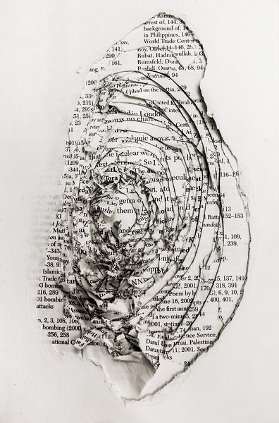 Hole in the official story Print