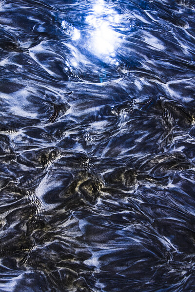 Natures abstract Print