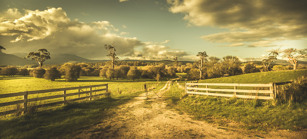 Outback country paddock Print