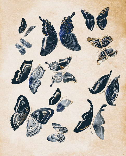 Scrapbook butterflies Print