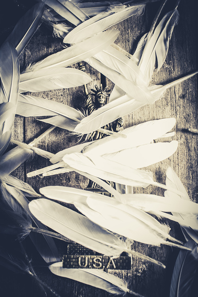 Feathers of freedom and the statue of liberty Print