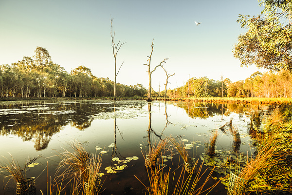 Soothing waters Print