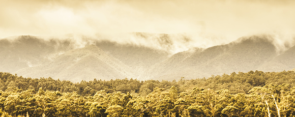 Layered depths of forests mountains and fog Print