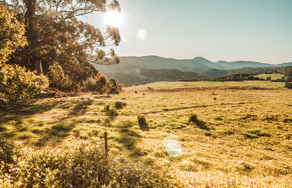Meadows and mountains Print