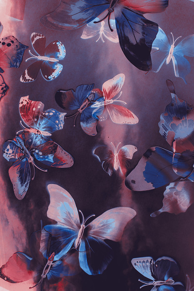 Artistic colorful butterfly design Print