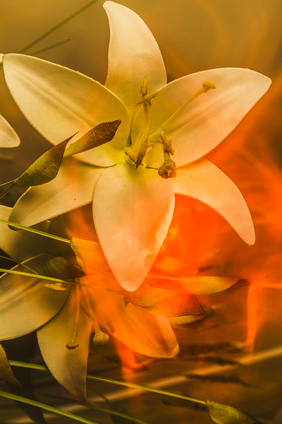 Flames of intimacy Print