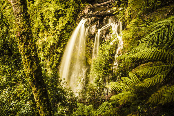 Philosopher Falls Western Tasmania Print