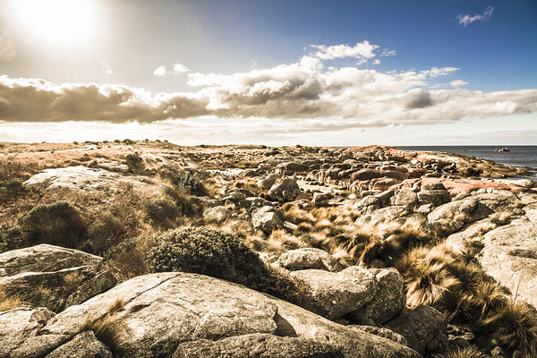 Bay of Fires Tasmania Australia Print