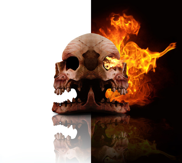 Heads Of Decay Print