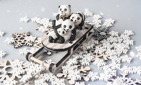 White winter adventure Print