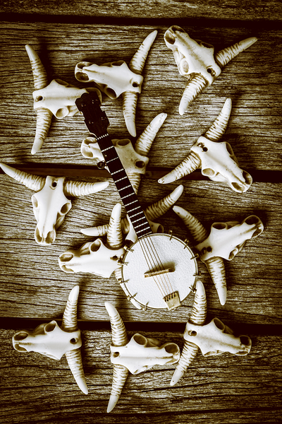 Playing up a country scene Print