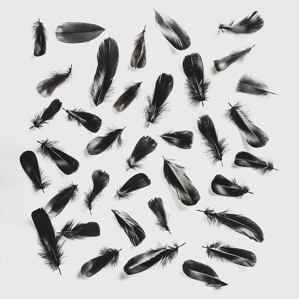 Light and dark Print