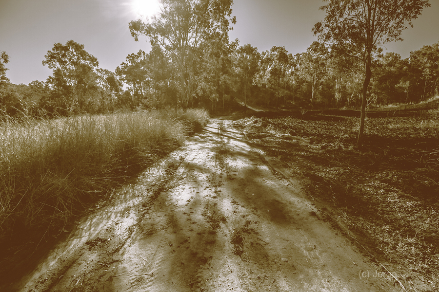 Tessellated Trail  Print