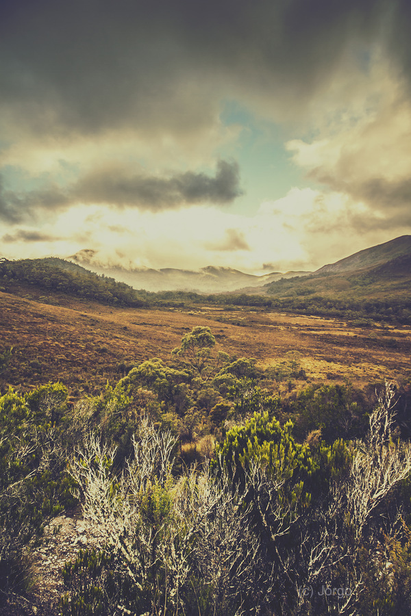 Retro scenic wilderness  Print