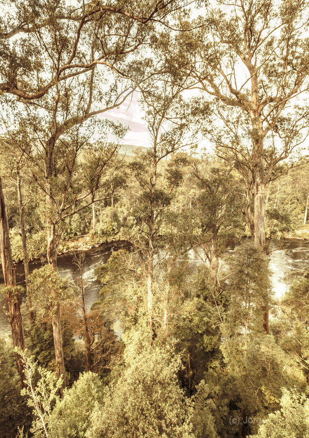 Elevated country  Print