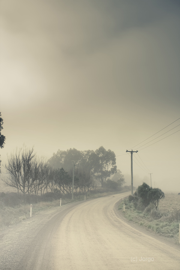 Windy paths to destinations unknown  Print