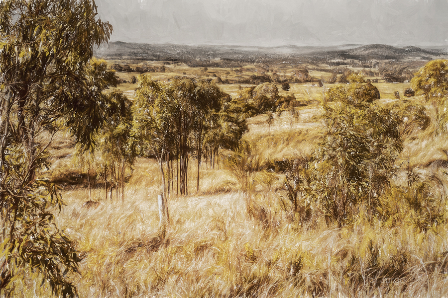 Branch Creek And Beyond  Print