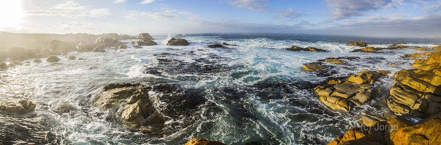 Seas of the wild west coast of Tasmania  Imprimer