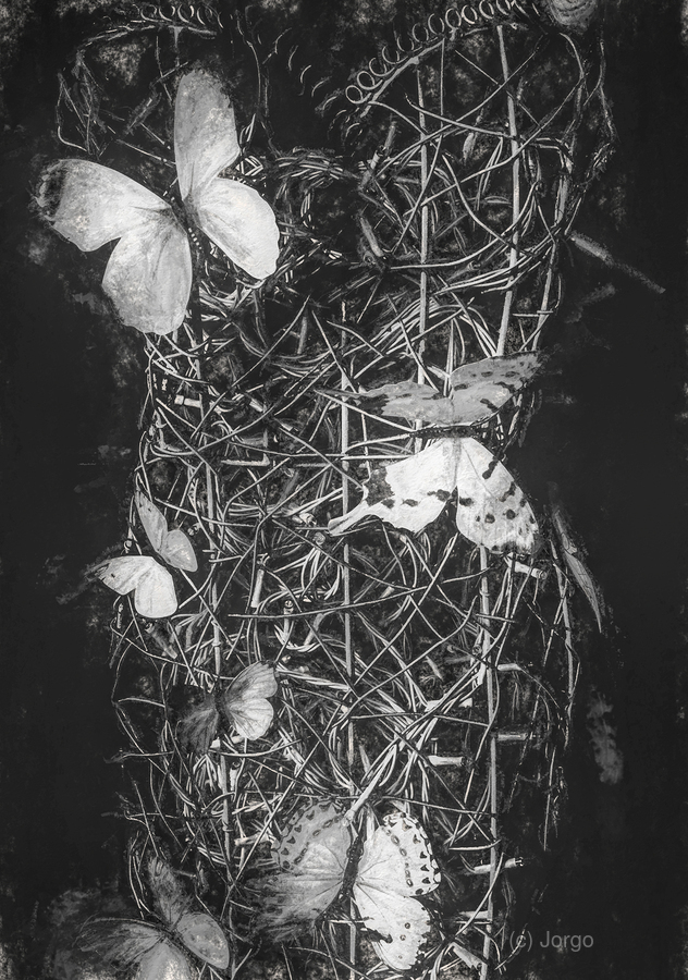 Desimilation   Print