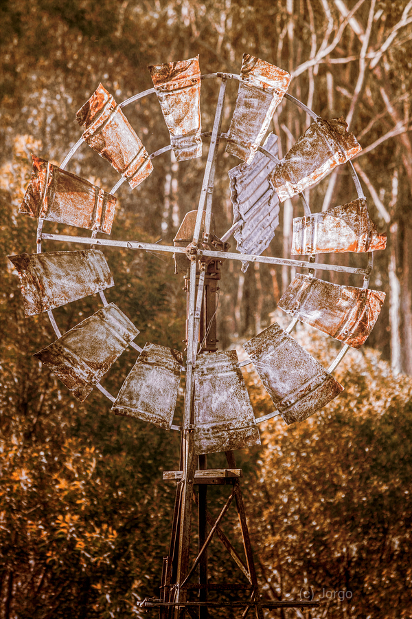 Shades Of Autumns Rust  Print