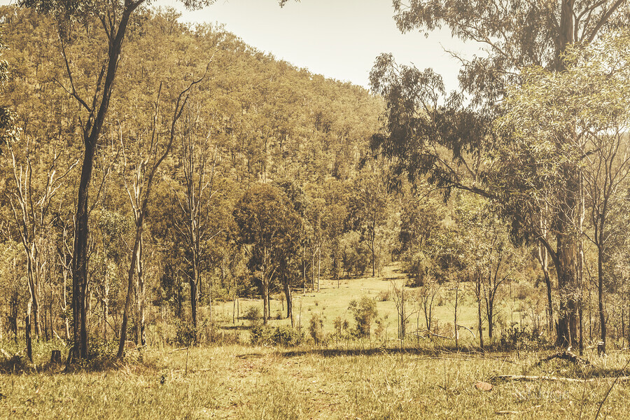 Vintage hillside  Print