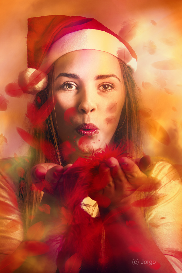 Merry christmas elf  Print