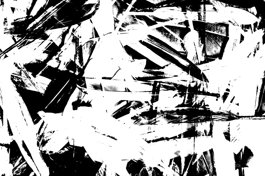 Feathermentary   Print