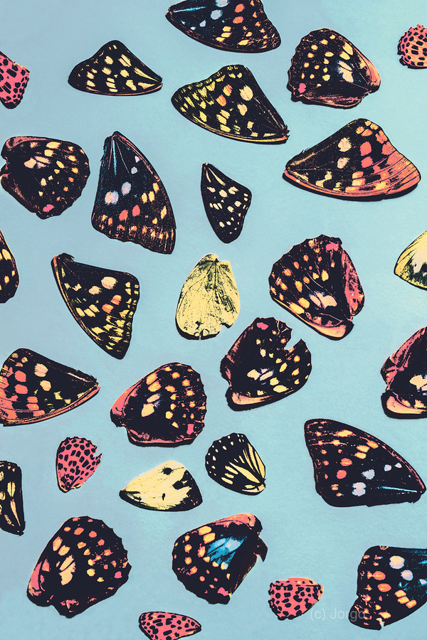 Butterfly wings  Imprimer