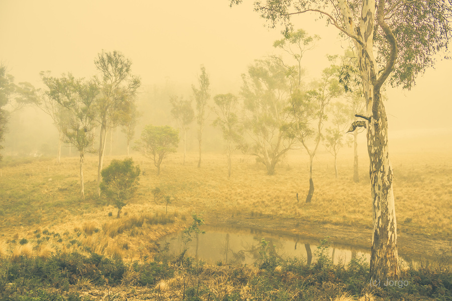Mystical lake  Print