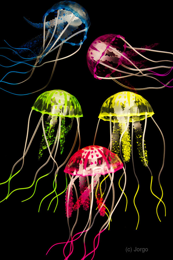 Captivating connectivity  Print