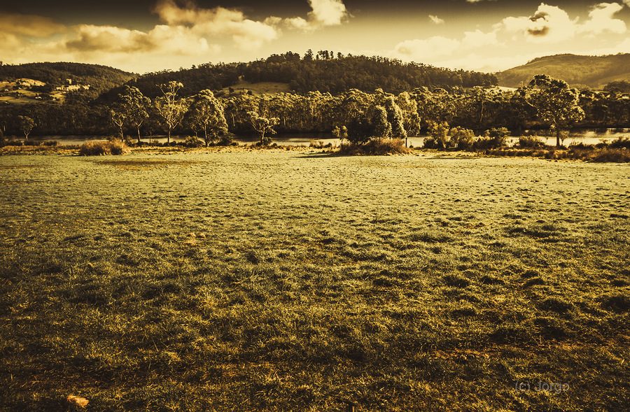 Open fields of Woodstock Tasmania  Print
