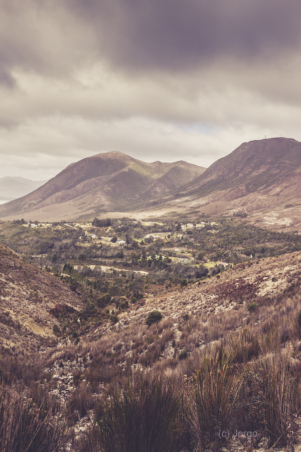 Glorious Gormanston  Print