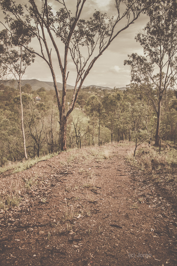 Calming country  Print