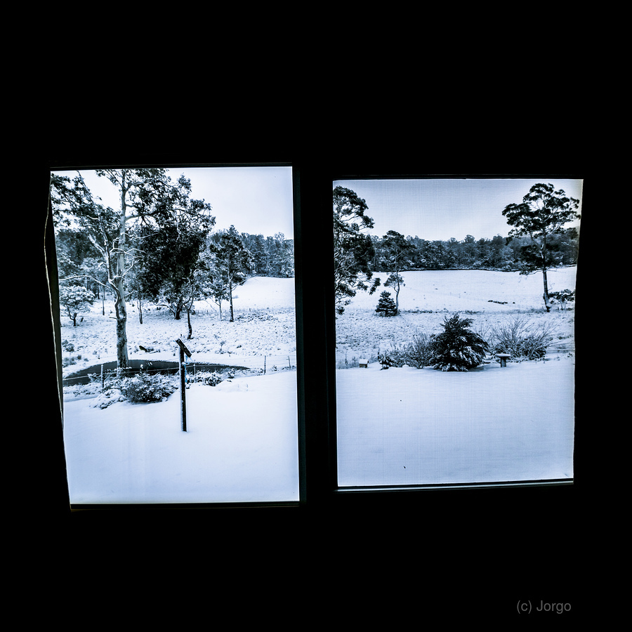 Windows to winter  Print