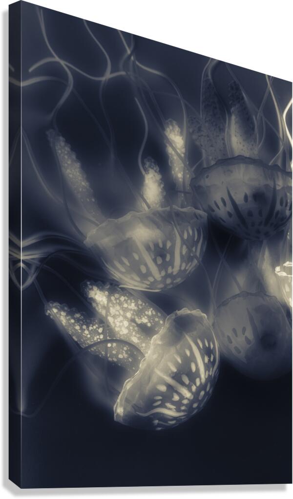 Tonical Entangle Canvas Print